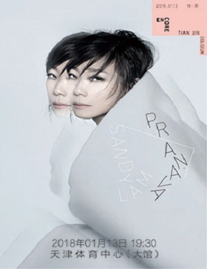 林忆莲天津演唱会