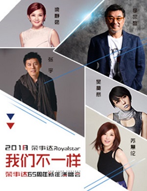 荣事达65周年合肥新年演唱会