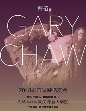 曹格武汉演唱会