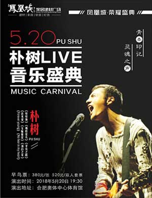 朴树合肥演唱会