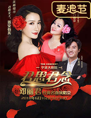 邓丽君经典名曲演唱会