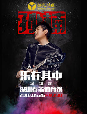 孙楠深圳演唱会