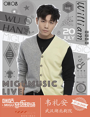 韦礼安武汉演唱会