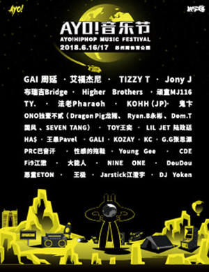 2018苏州AYO音乐节