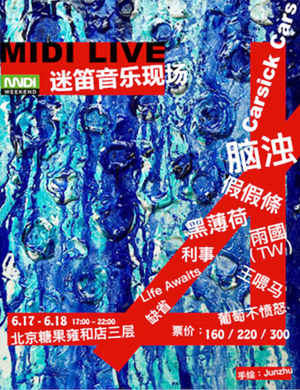 北京迷笛音乐节