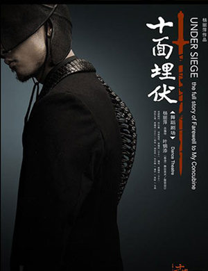 杨丽萍舞蹈《十面埋伏》-郑州站