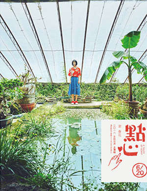 谢春花郑州演唱会