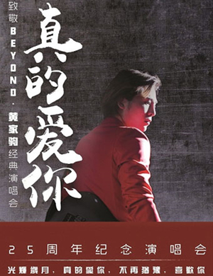 致敬BEYOND 黄家驹北京演唱会
