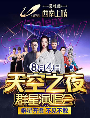 天空之夜贵阳群星演唱会