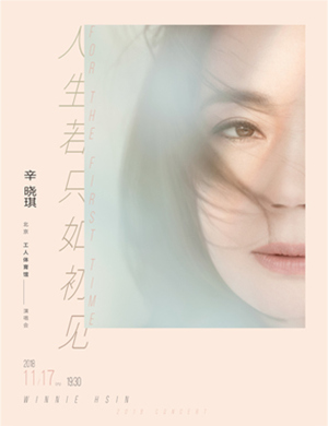 辛晓琪北京演唱会