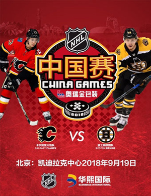 2018北京职业冰球联赛中国赛