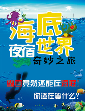 2019北京夜宿海洋馆奇妙之旅