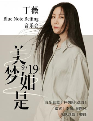 丁薇北京演唱会