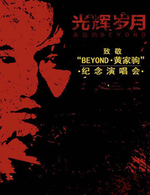 黄家驹芜湖演唱会