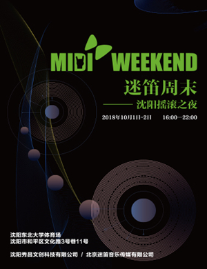2018沈阳摇滚之夜迷笛音乐节