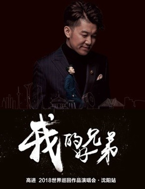 高进沈阳演唱会