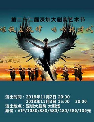 深圳舞剧 大河之舞Ⅱ舞起狂澜