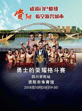 2018勇士的荣耀36-资阳站