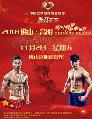 2018中国武术散打佛山联赛