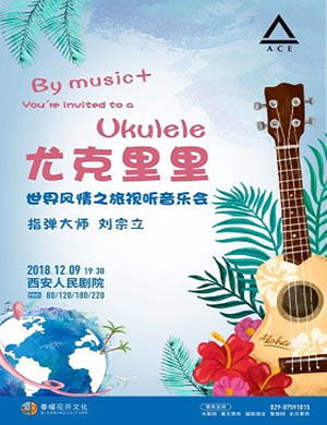 2018刘宗立西安尤克里里音乐会