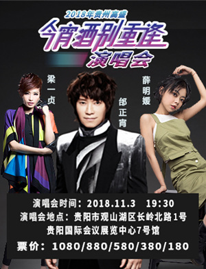 2018贵阳今宵酒别重逢大型演唱会