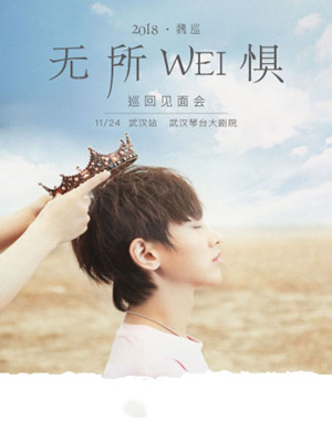 2018魏巡武汉演唱会