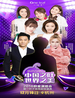 2018群星演唱会暨一叶子微商超级盛典-杭州站