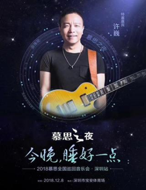 许巍深圳演唱会