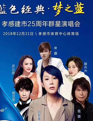 孝感建市25周年群星演唱会