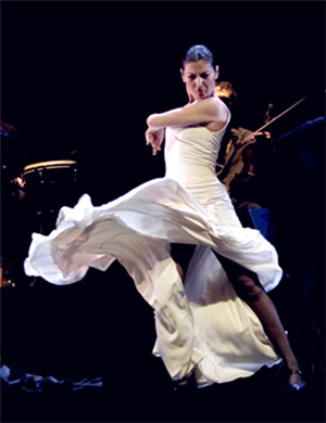 北京舞蹈剧卡门