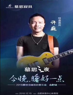 许巍合肥演唱会