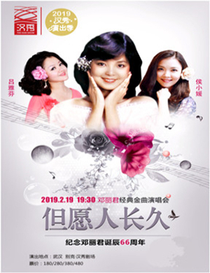 邓丽君经典金曲武汉演唱会