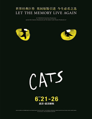 2019武汉音乐剧猫