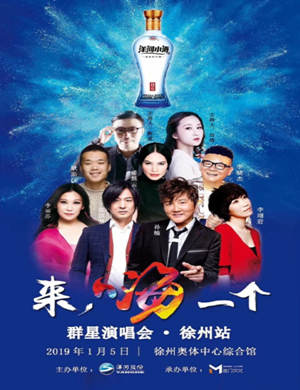2019洋河小海徐州群星演唱会