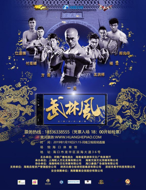海口武林风全球功夫盛典