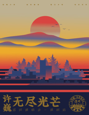 许巍深圳演唱会