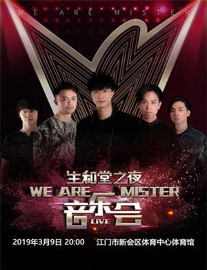 Mr.(Mister）乐队江门演唱会