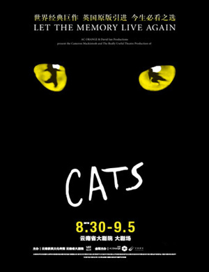 2019昆明音乐剧猫CATS
