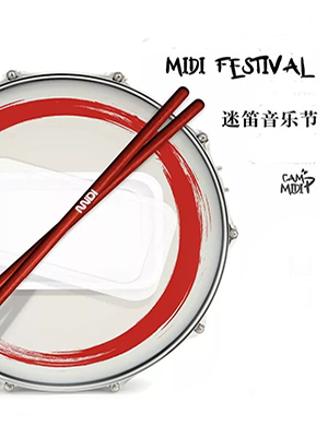 深圳迷笛音乐节