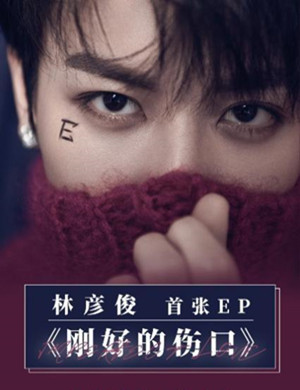 林彦俊成都分享会