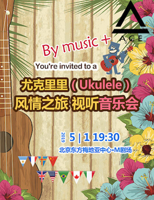 刘宗立北京音乐会