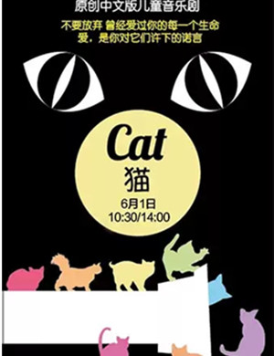 音乐剧猫上海站