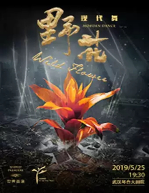 舞蹈剧野花武汉站