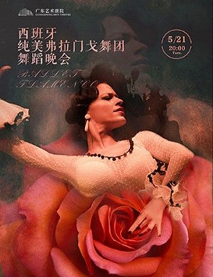 弗拉门戈舞剧广州站
