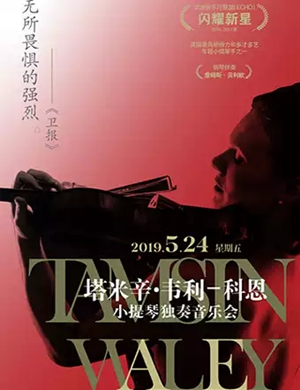 塔米辛韦利科恩南宁音乐会