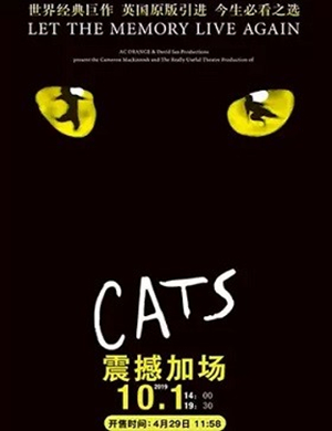 音乐剧猫CATS海口站