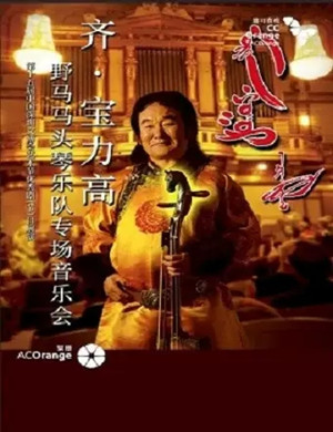 齐宝力高固安音乐会