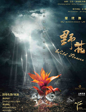 现代舞野花苏州站