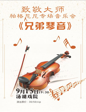 兄弟琴音武汉音乐会