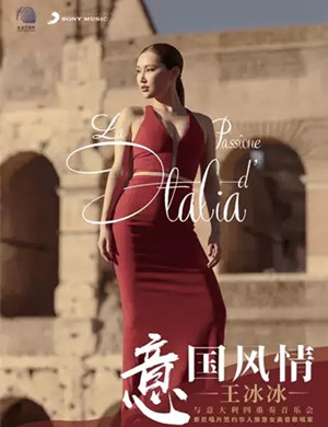 王冰冰珠海音乐会